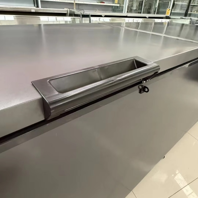 Коммерческий двухдверный гориз – обзор и цена Commercial Chest Freezer